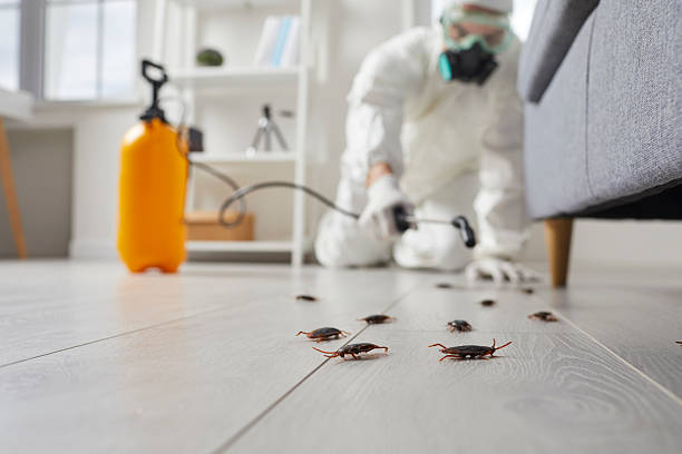 Commercial Kitchen Cockroach Control in Carolina Shores